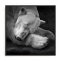 Krinke On My Pillow Wall Art