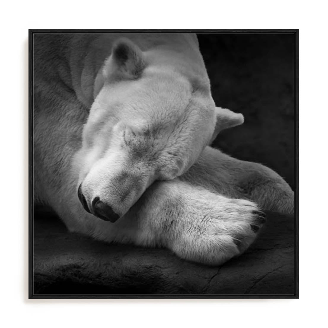 Krinke On My Pillow Wall Art