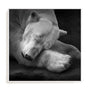 Krinke On My Pillow Wall Art