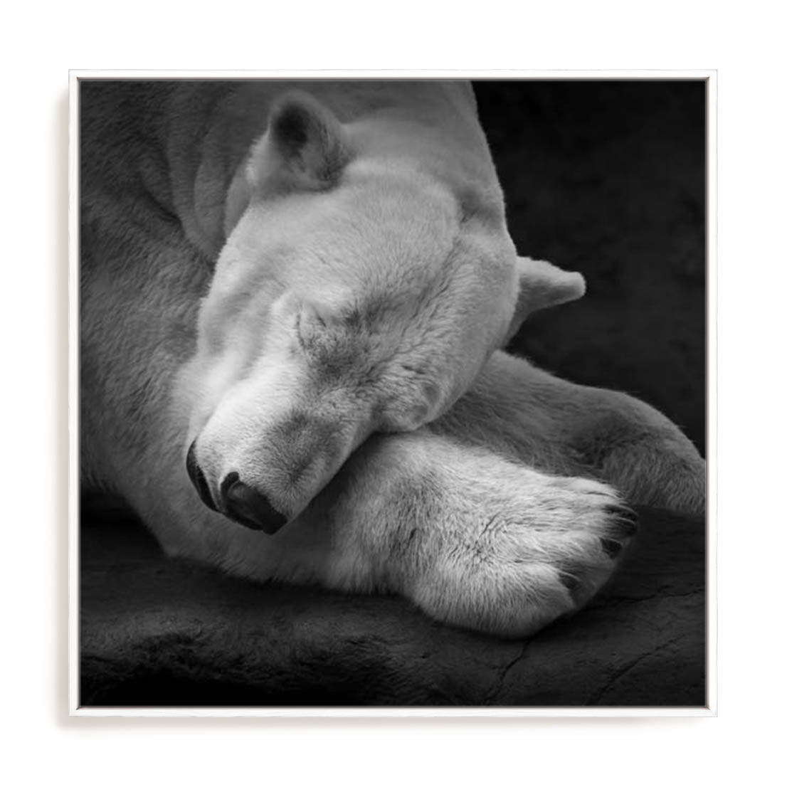 Krinke On My Pillow Wall Art