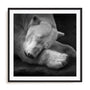 Krinke On My Pillow Wall Art