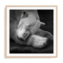 Krinke On My Pillow Wall Art