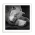 Krinke On My Pillow Wall Art #oran_white-white-border