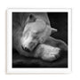 Krinke On My Pillow Wall Art