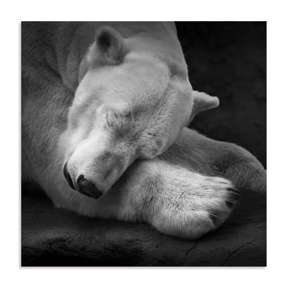 Krinke On My Pillow Wall Art