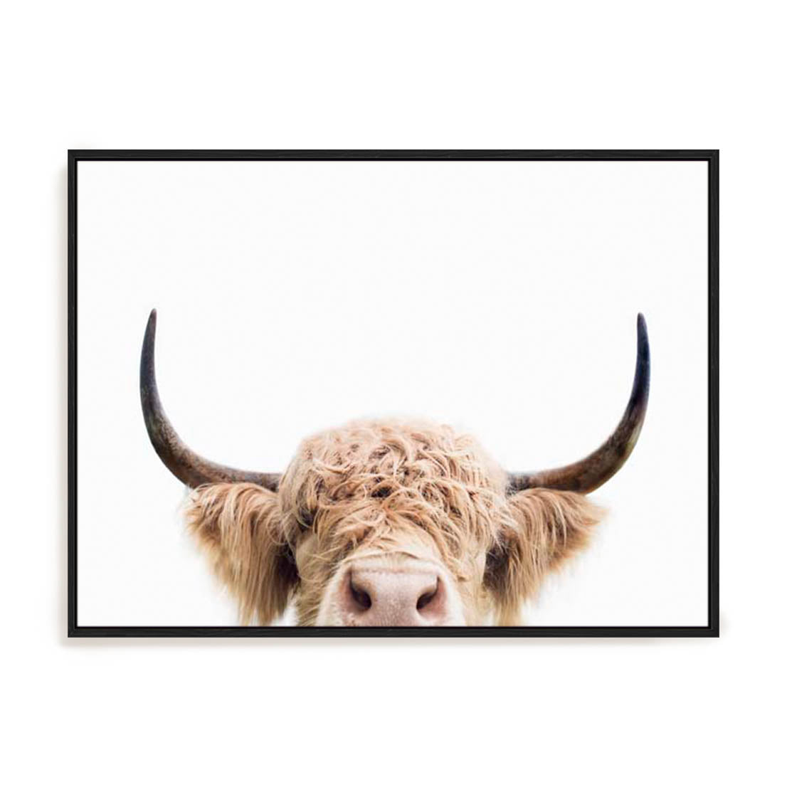 Pienaar Peeking Cow Wall Art
