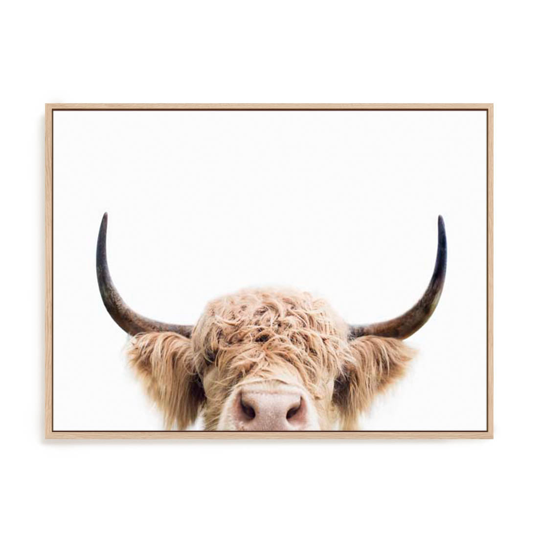 Pienaar Peeking Cow Wall Art