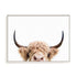 Pienaar Peeking Cow Wall Art