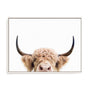 Pienaar Peeking Cow Wall Art