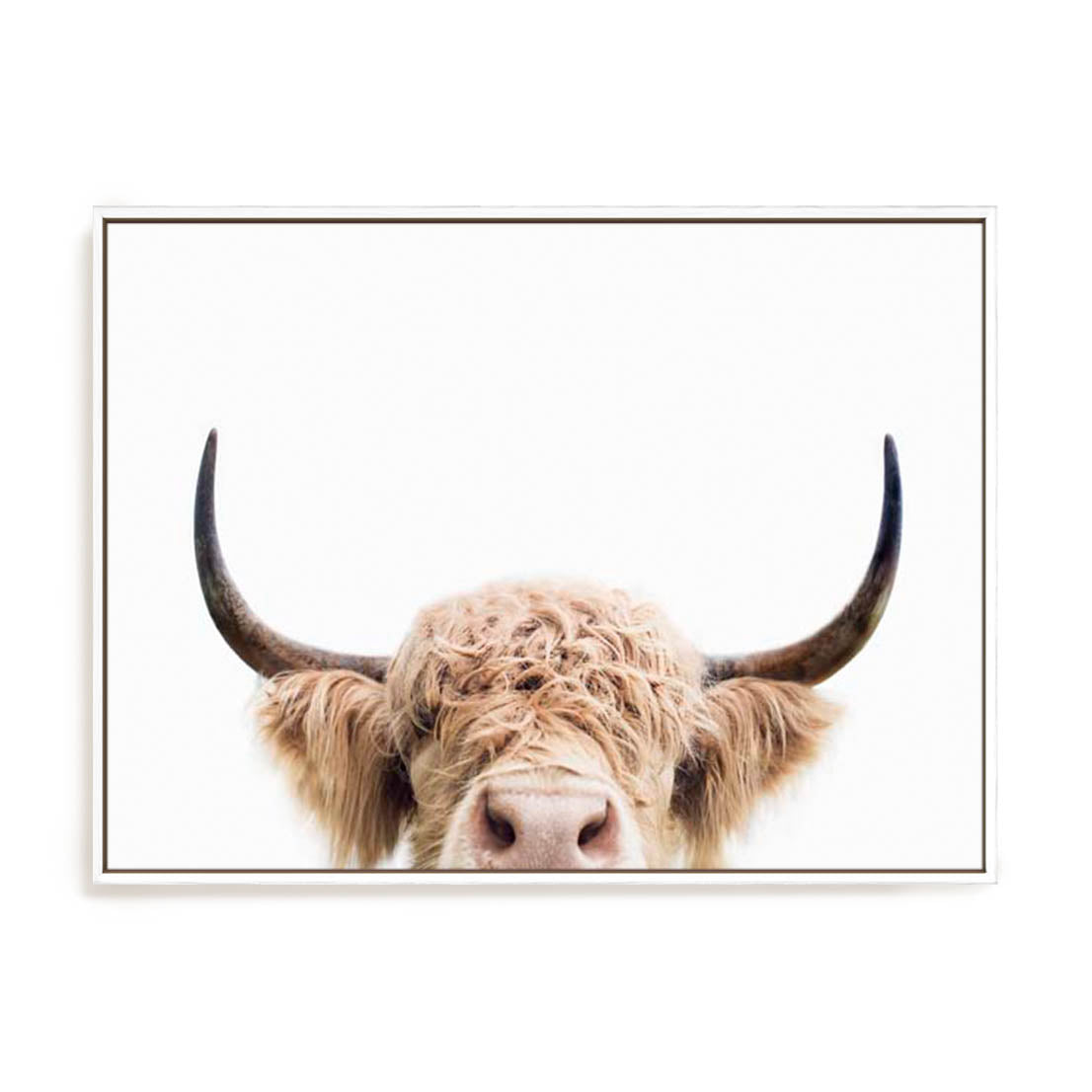 Pienaar Peeking Cow Wall Art