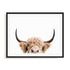 Pienaar Peeking Cow Wall Art