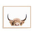 Pienaar Peeking Cow Wall Art