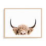 Pienaar Peeking Cow Wall Art