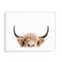 Pienaar Peeking Cow Wall Art