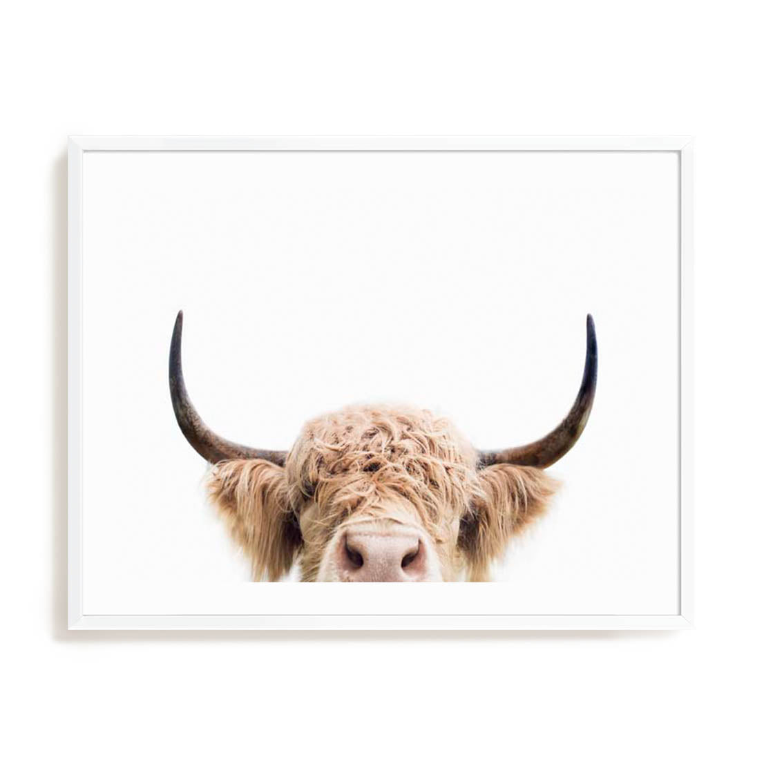 Pienaar Peeking Cow Wall Art