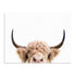 Pienaar Peeking Cow Wall Art