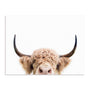 Pienaar Peeking Cow Wall Art