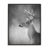 Cumming White Tailed Buck Wall Art