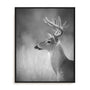 Cumming White Tailed Buck Wall Art