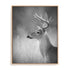 Cumming White Tailed Buck Wall Art