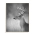 Cumming White Tailed Buck Wall Art
