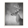 Cumming White Tailed Buck Wall Art