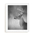 Cumming White Tailed Buck Wall Art