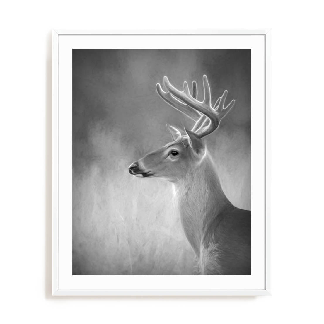 Cumming White Tailed Buck Wall Art