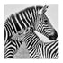 Li Love Wall Art