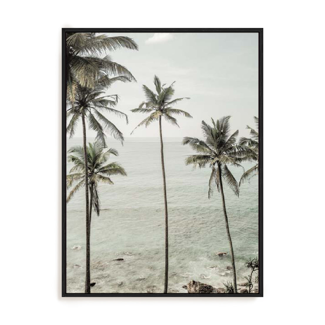 Clint – Tropical Dreams Wall Art