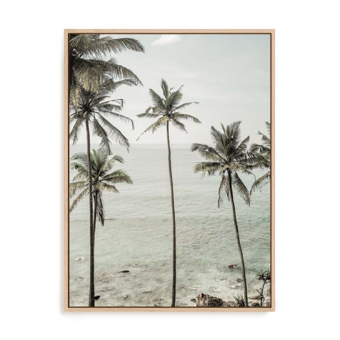 Clint – Tropical Dreams Wall Art