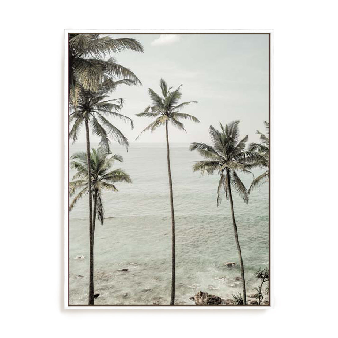 Clint – Tropical Dreams Wall Art