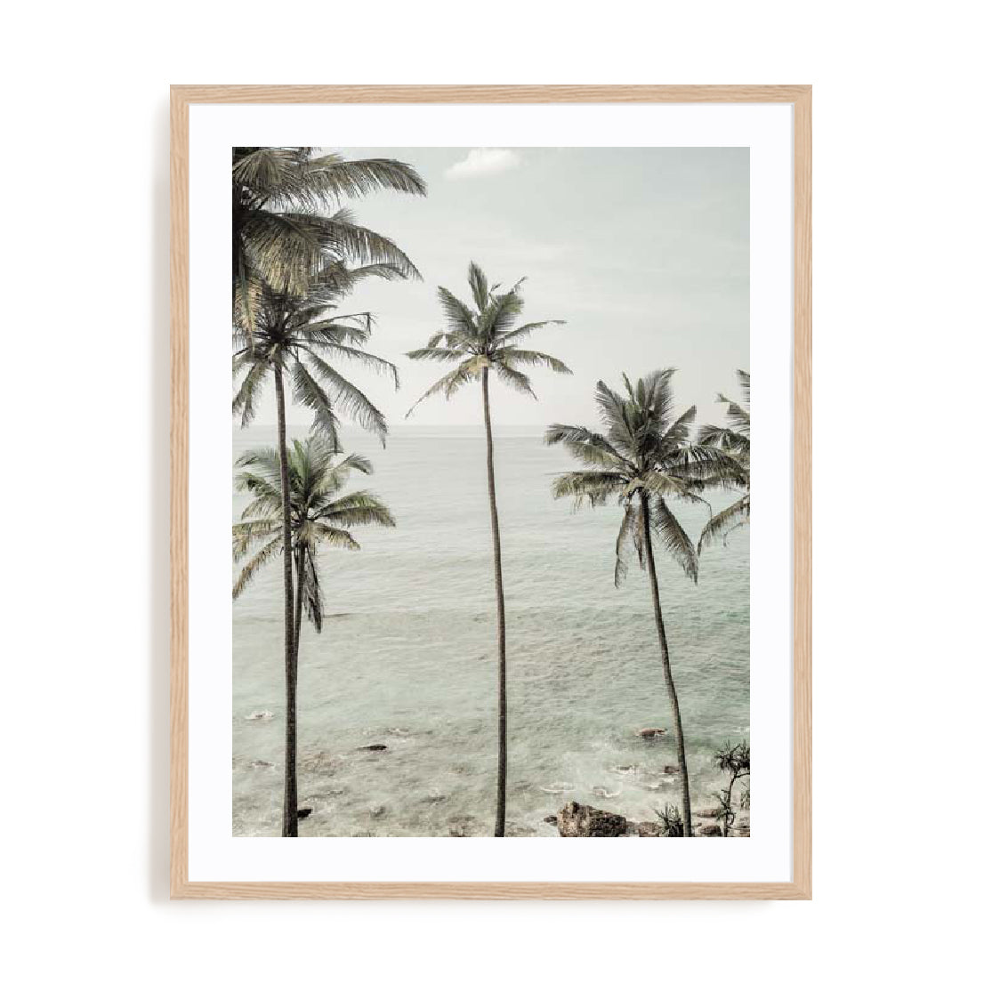 Clint – Tropical Dreams Wall Art