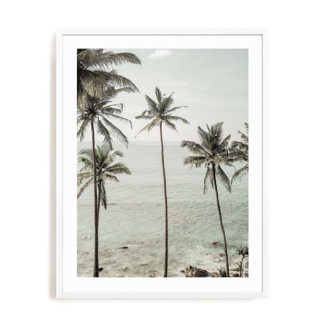 Clint – Tropical Dreams Wall Art