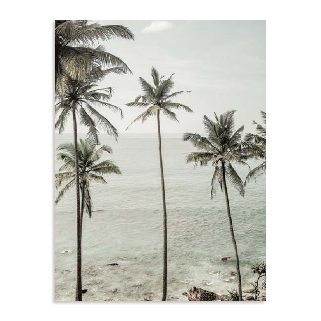 Clint – Tropical Dreams Wall Art