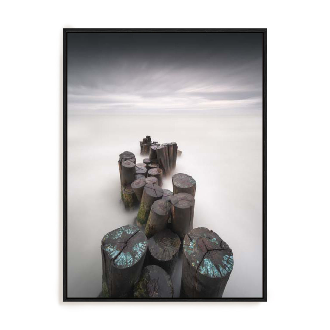 Maestosi – Timeless Wall Art