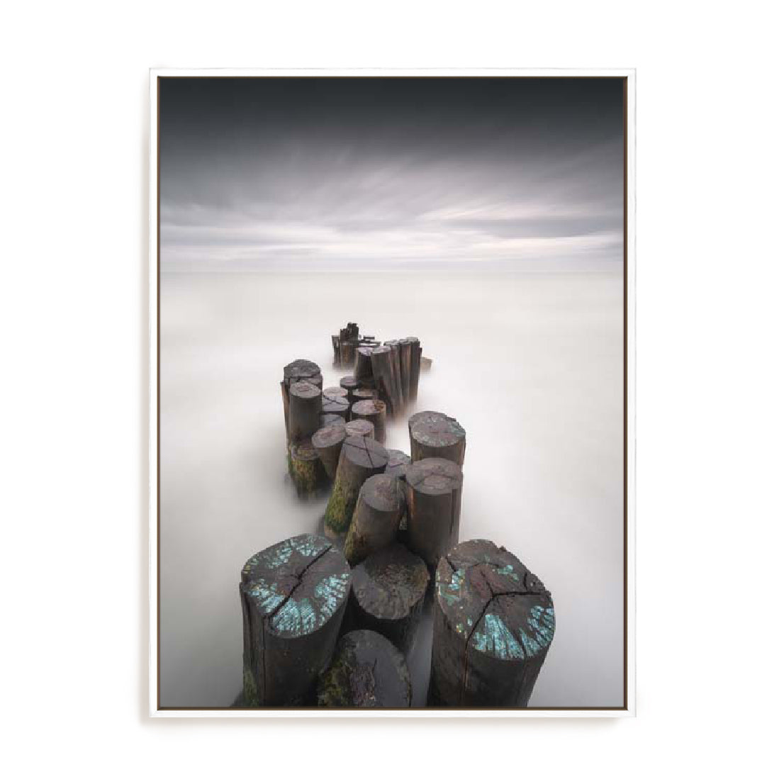 Maestosi – Timeless Wall Art