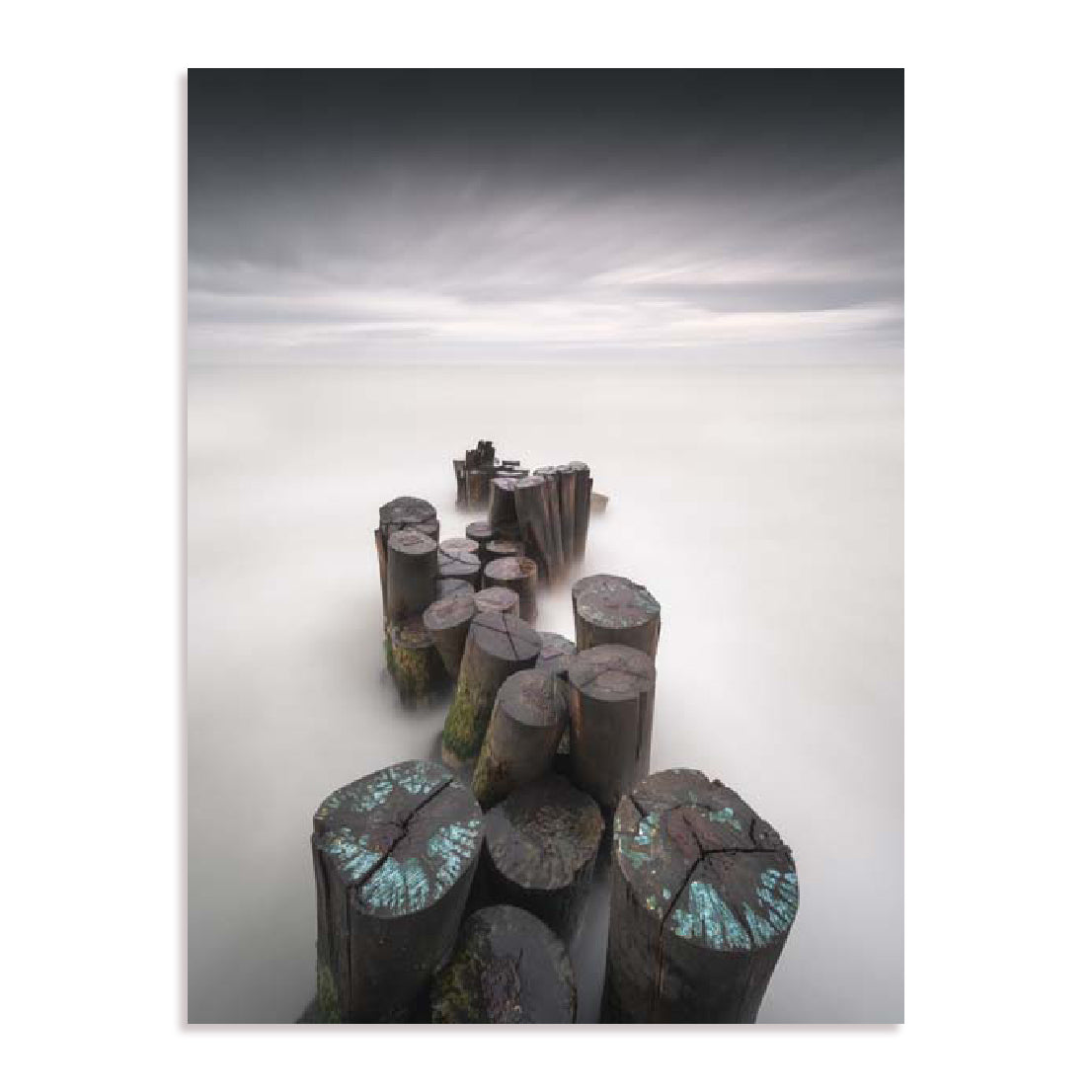 Maestosi – Timeless Wall Art