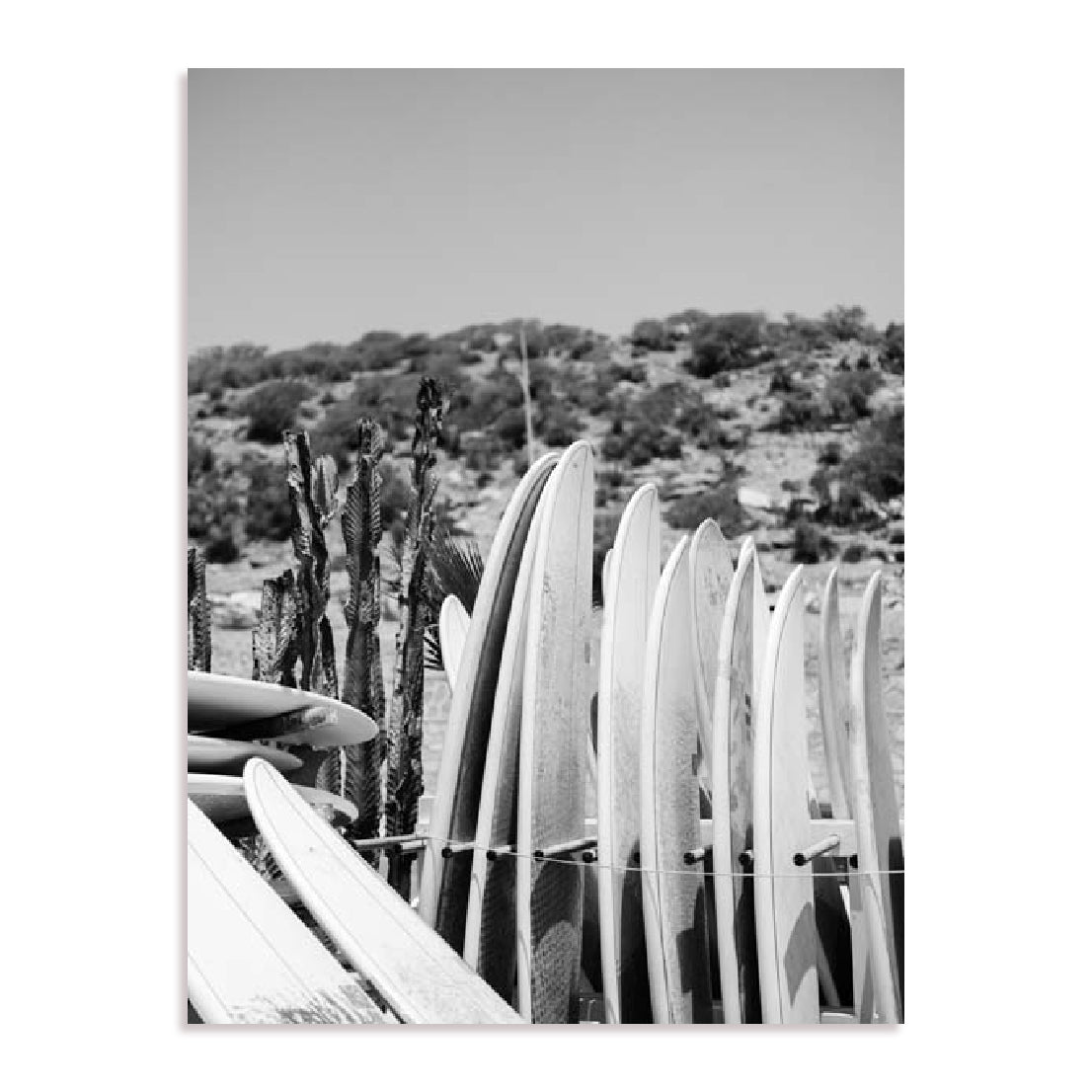 Zwart – Surfboards In Black And White Wall Art