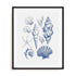 And Dash – Shell Collage Wall Art