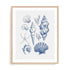 And Dash – Shell Collage Wall Art