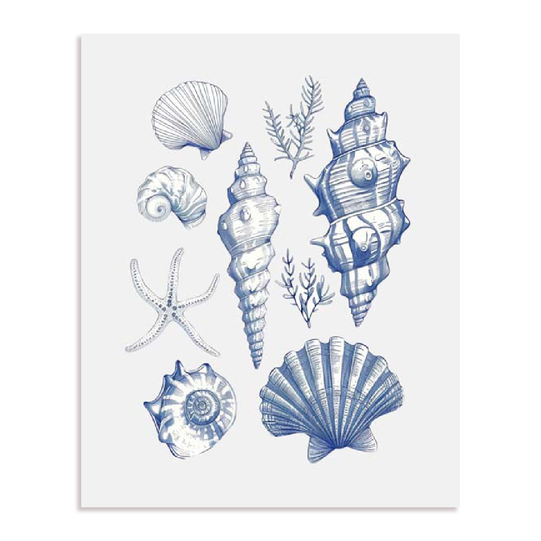 And Dash – Shell Collage Wall Art