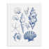 And Dash – Shell Collage Wall Art