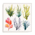 Nautica I Wall Art