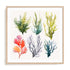 Nautica I Wall Art #oran_natural-white-border