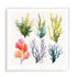 Nautica I Wall Art #oran_white-white-border