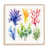 Nautica II Wall Art #oran_natural-white-border