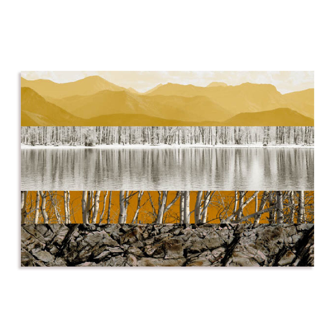 Nature Collage I Wall Art