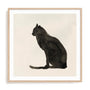 Le Chat Noir II Wall Art