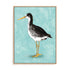 Seashore Bird III Wall Art